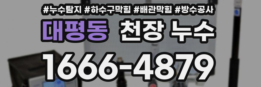 대평동 천장 누수