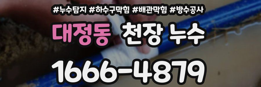 대정동 천장 누수