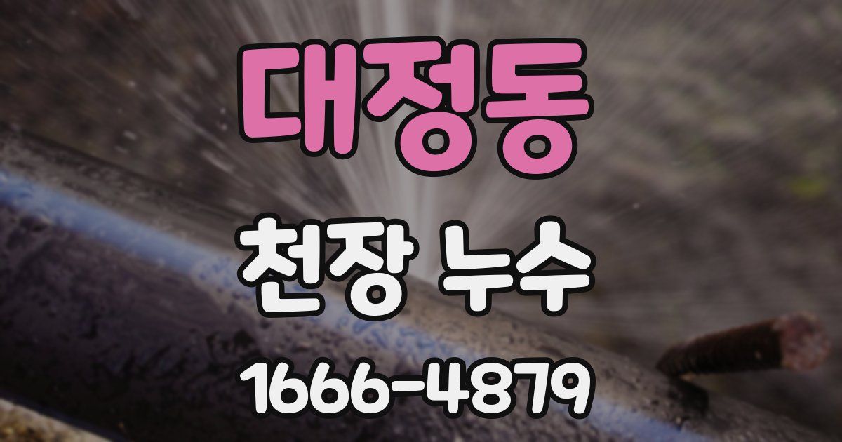 대정동 천장 누수