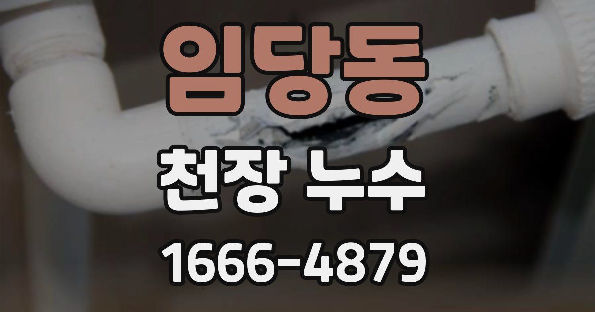 임당동 천장 누수