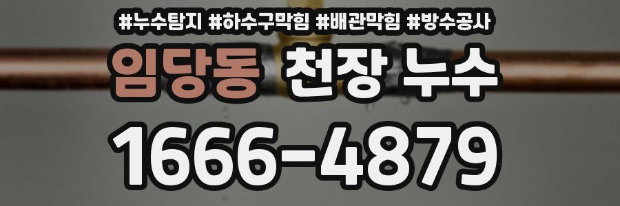 임당동 천장 누수