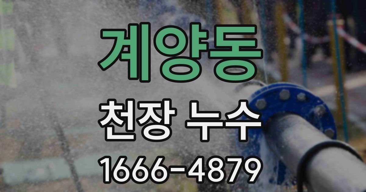 계양동 천장 누수