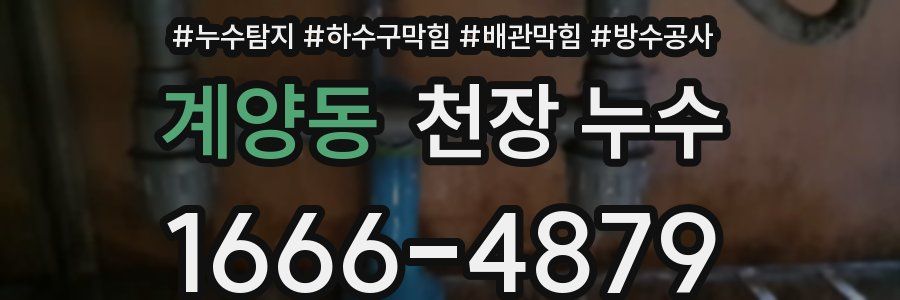 계양동 천장 누수