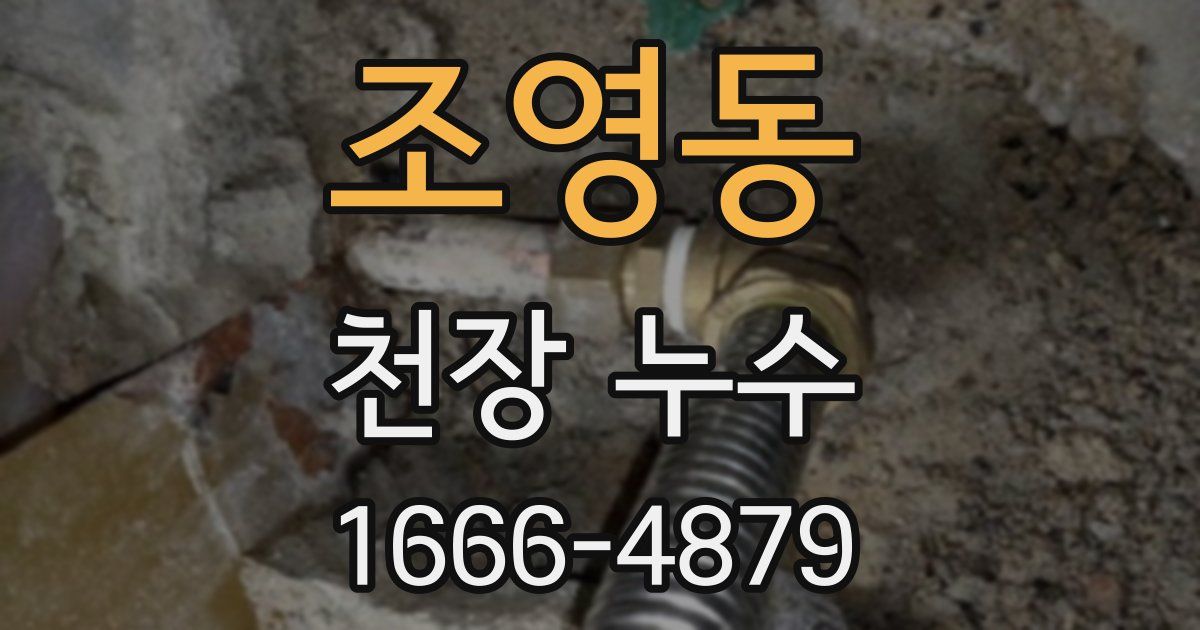 조영동 천장 누수