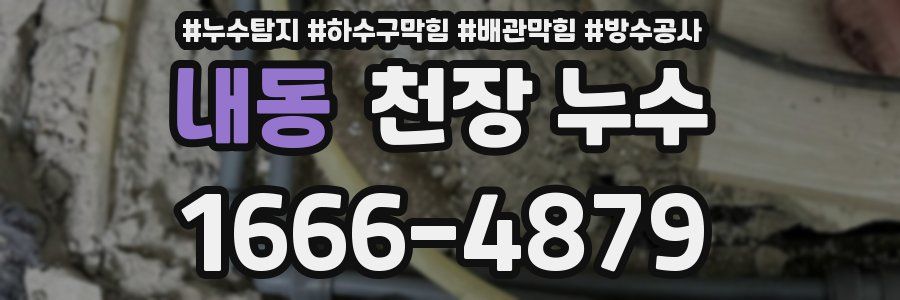 내동 천장 누수