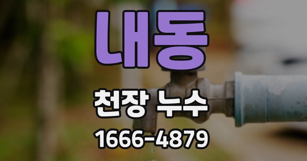 내동 천장 누수