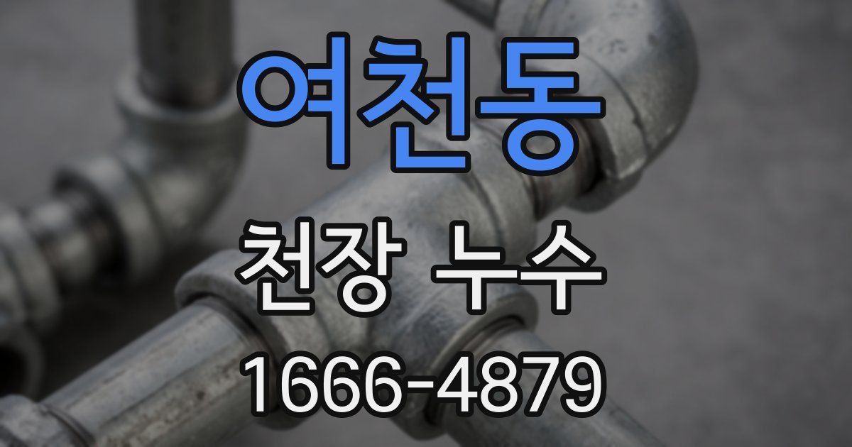 여천동 천장 누수