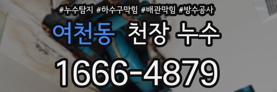 여천동 천장 누수