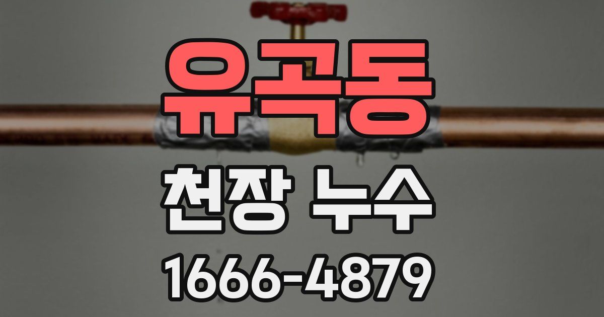유곡동 천장 누수