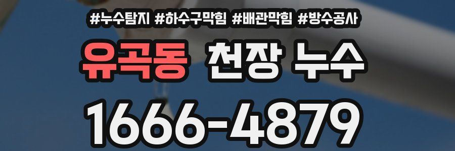 유곡동 천장 누수
