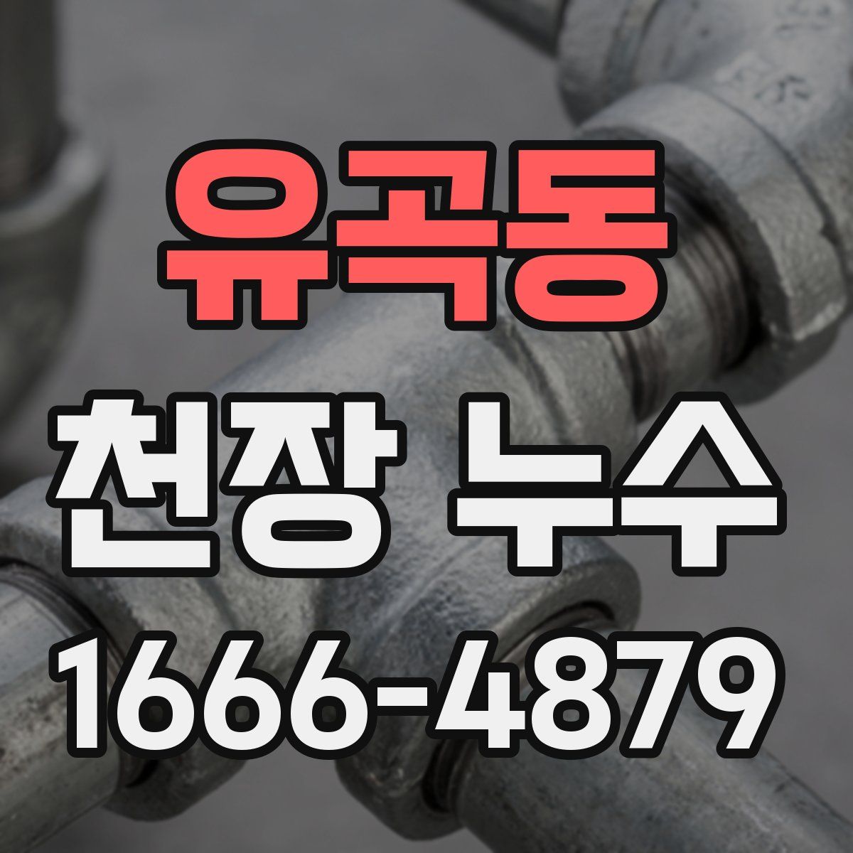 유곡동 천장 누수