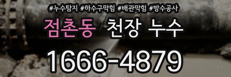 점촌동 천장 누수