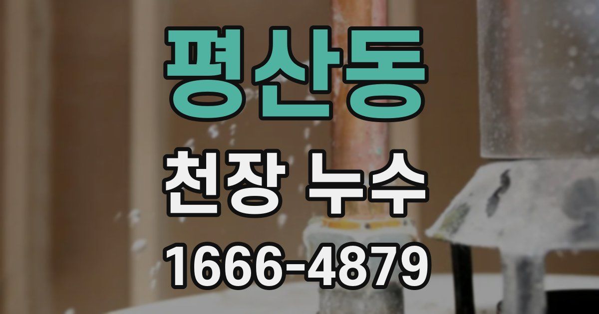 평산동 천장 누수
