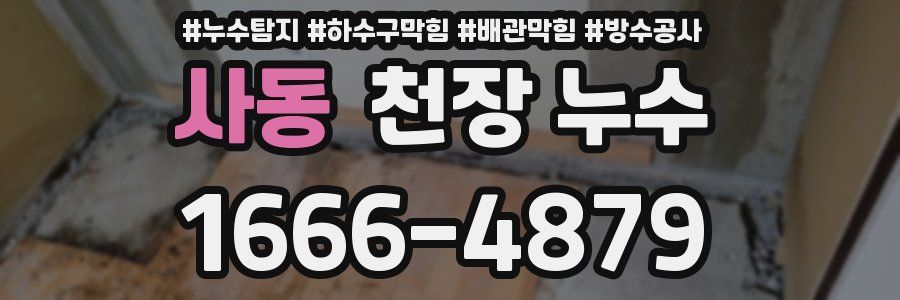 사동 천장 누수