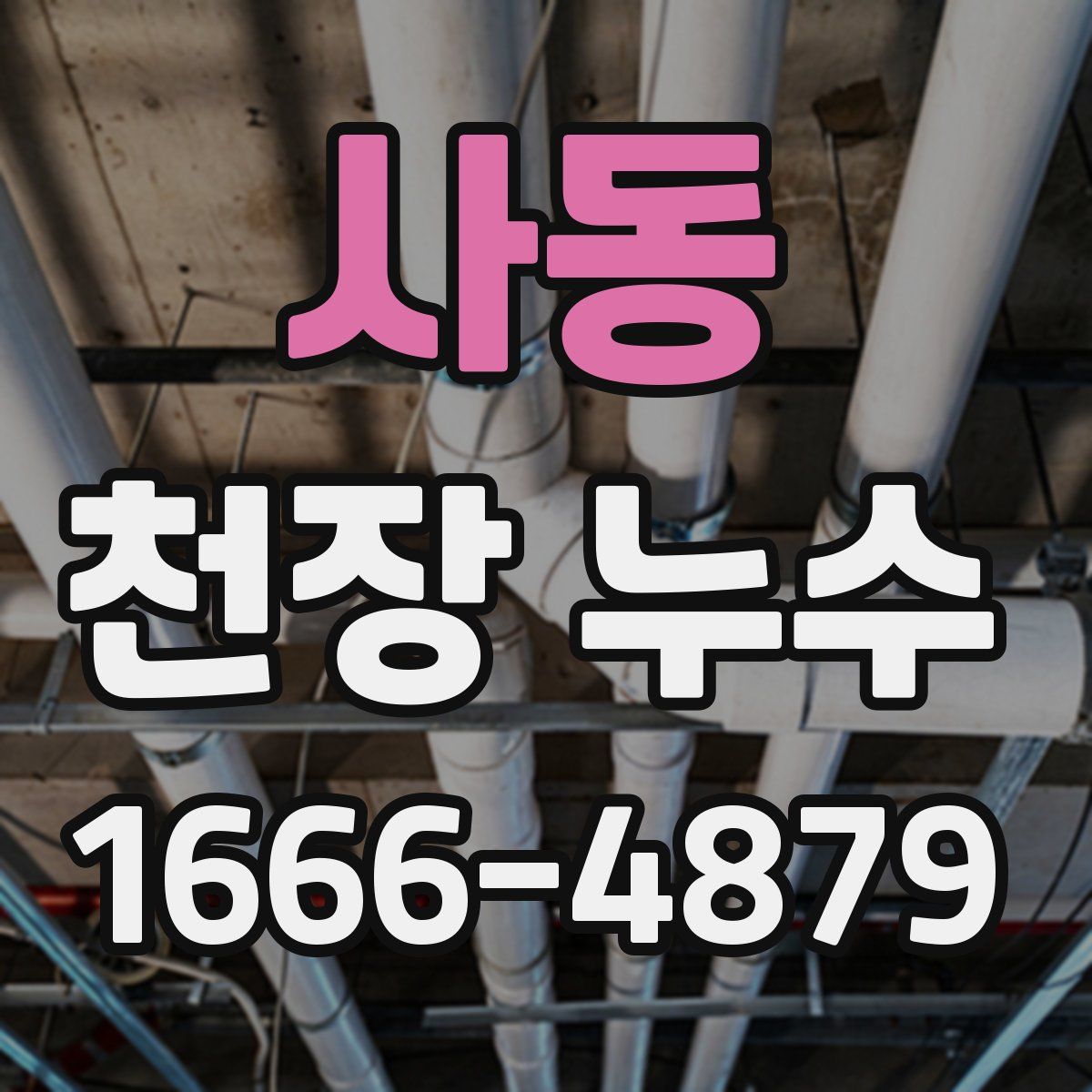 사동 천장 누수