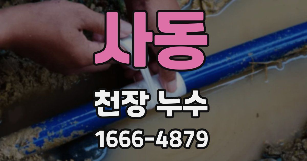 사동 천장 누수