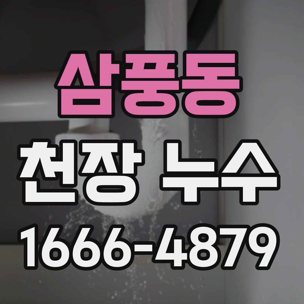 삼풍동 천장 누수