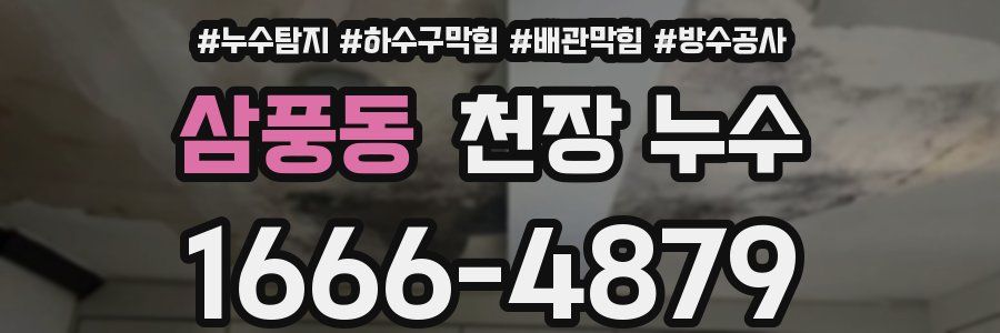 삼풍동 천장 누수