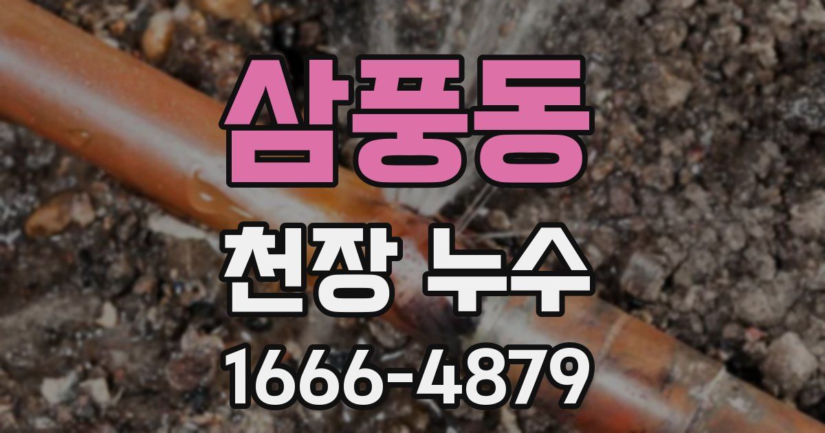 삼풍동 천장 누수