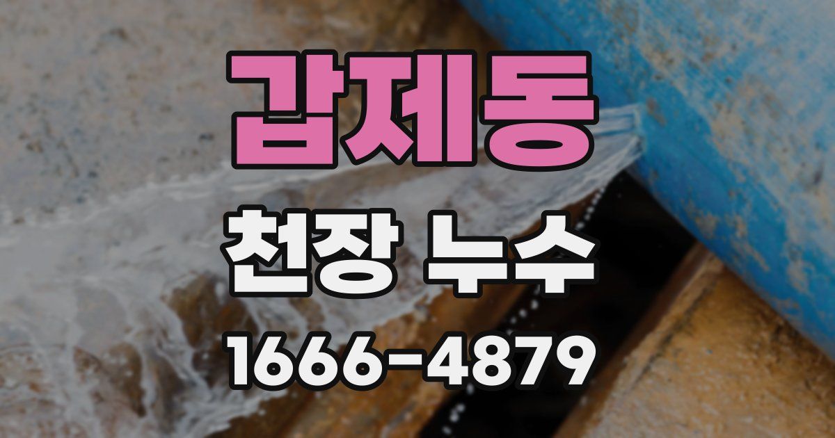 갑제동 천장 누수