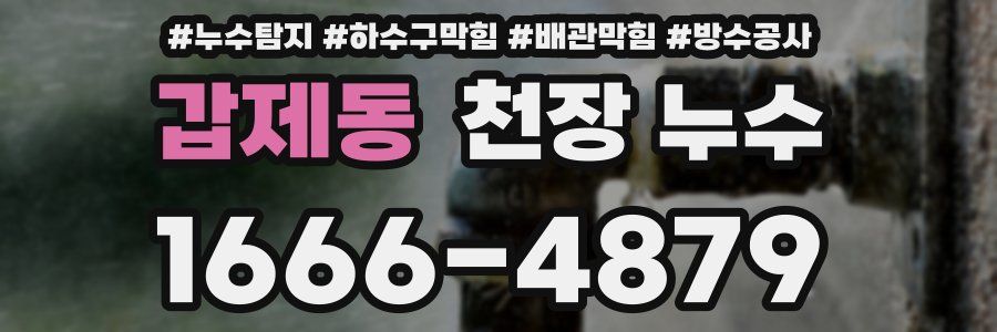갑제동 천장 누수