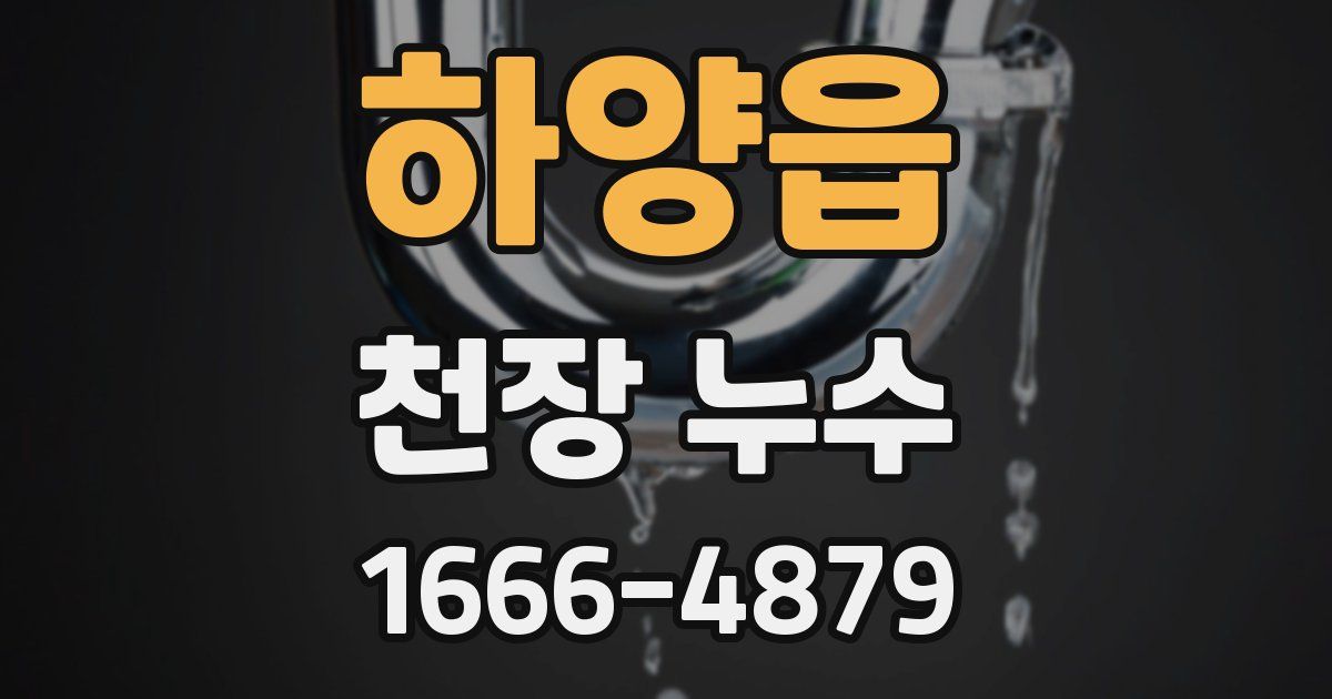 하양읍 천장 누수