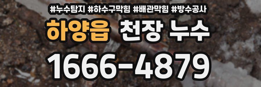 하양읍 천장 누수