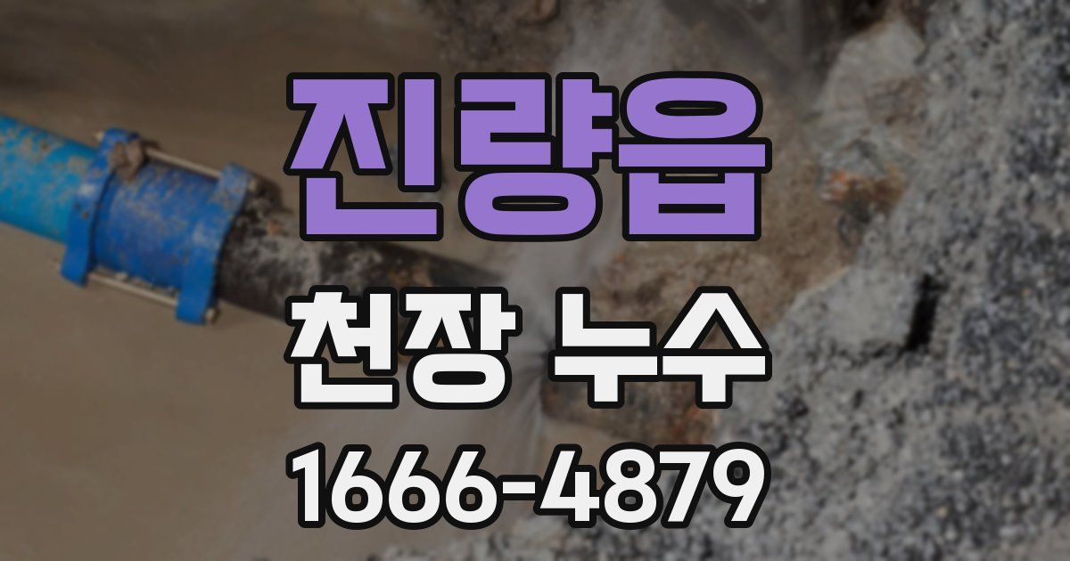진량읍 천장 누수