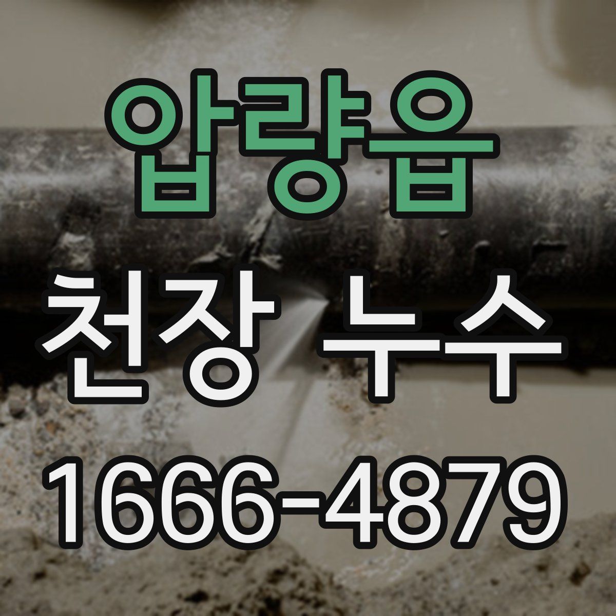 압량읍 천장 누수