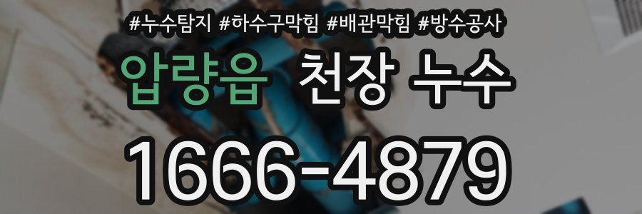 압량읍 천장 누수