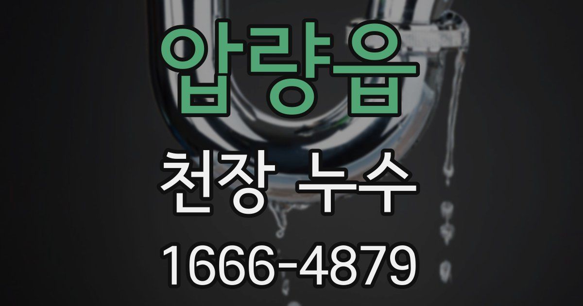 압량읍 천장 누수