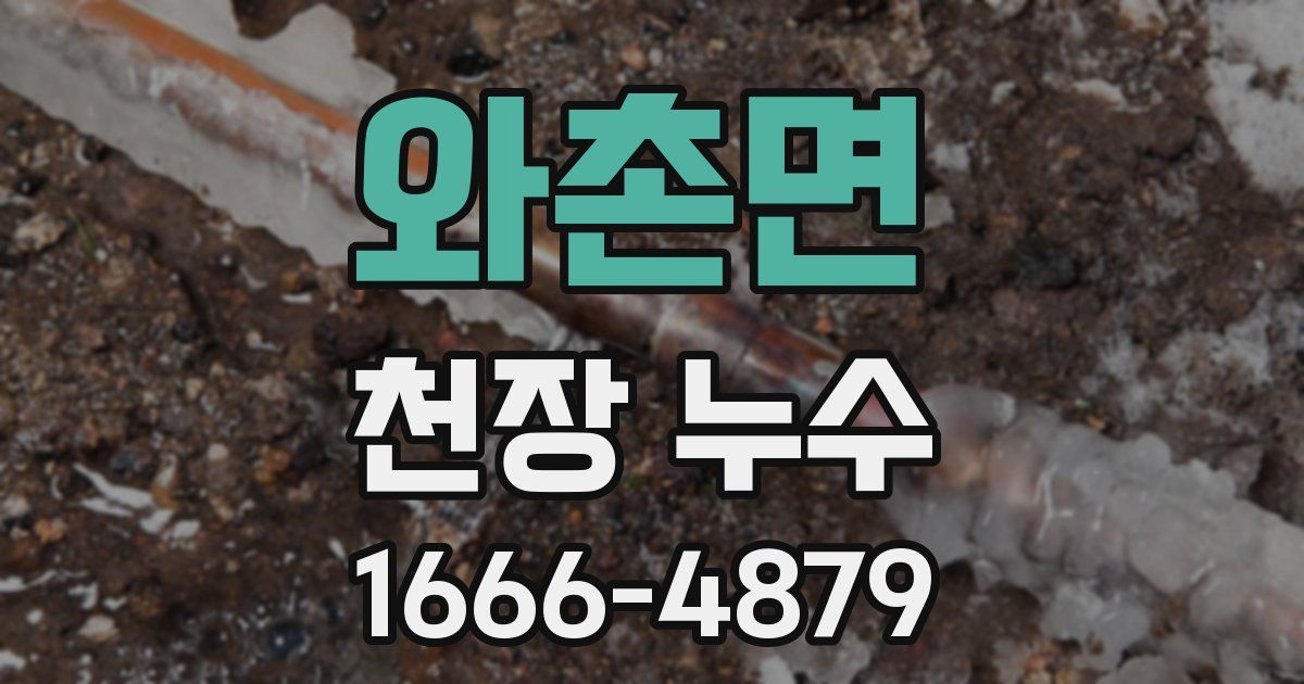와촌면 천장 누수