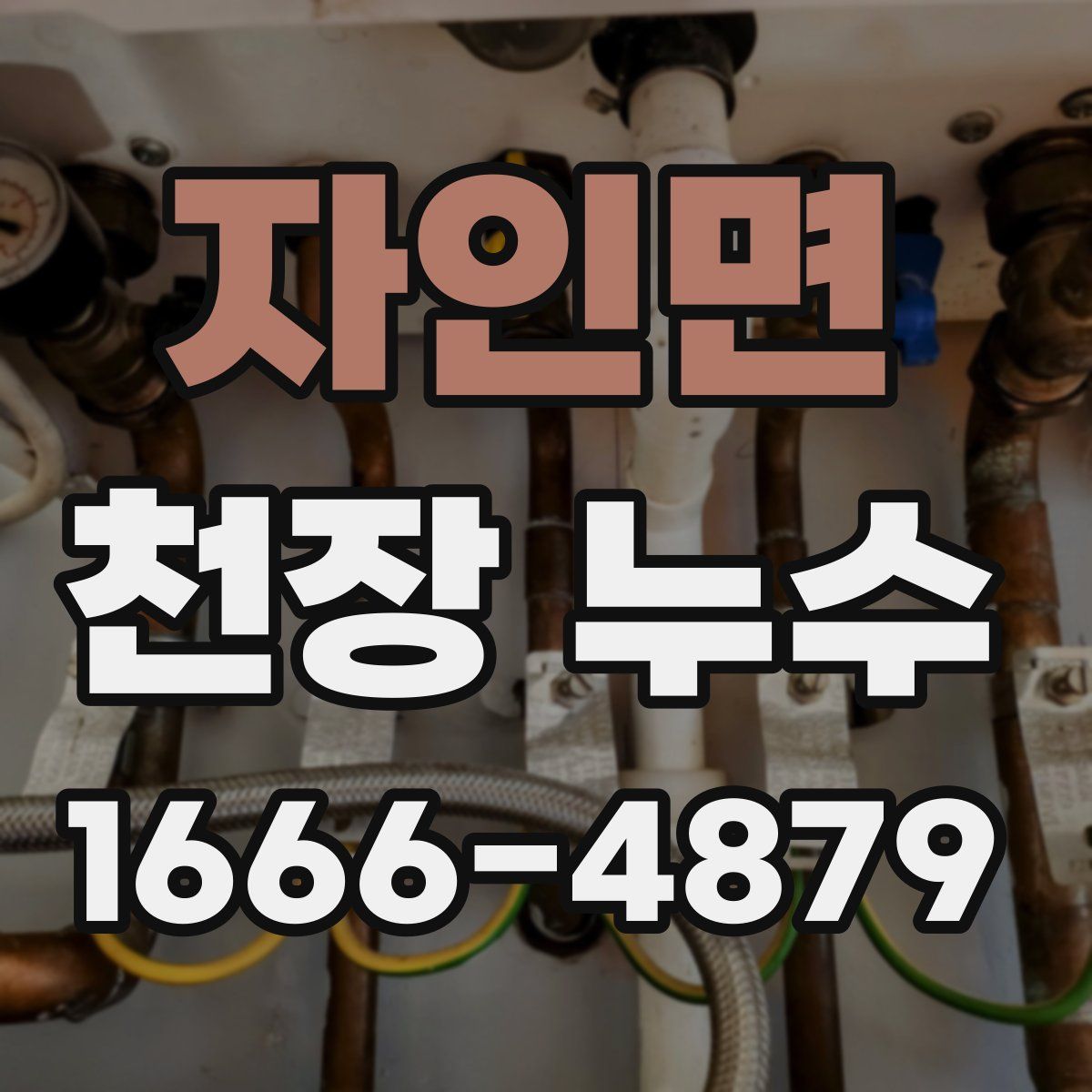 자인면 천장 누수