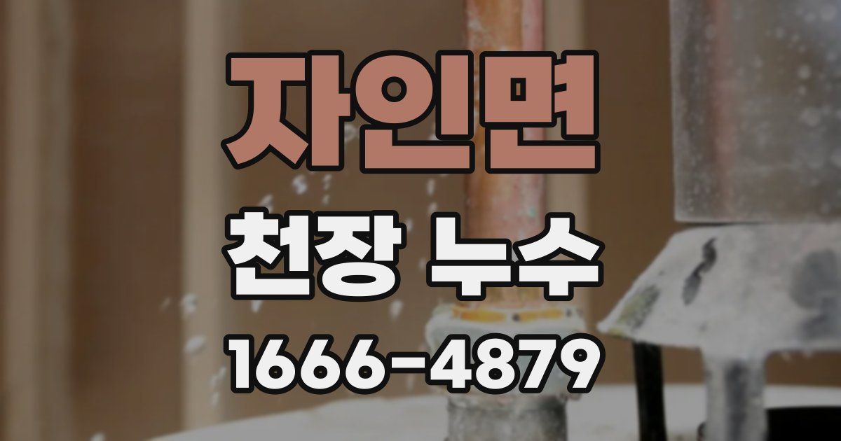 자인면 천장 누수