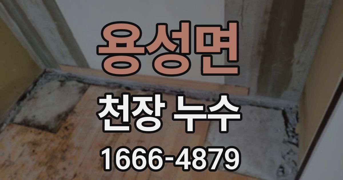 용성면 천장 누수
