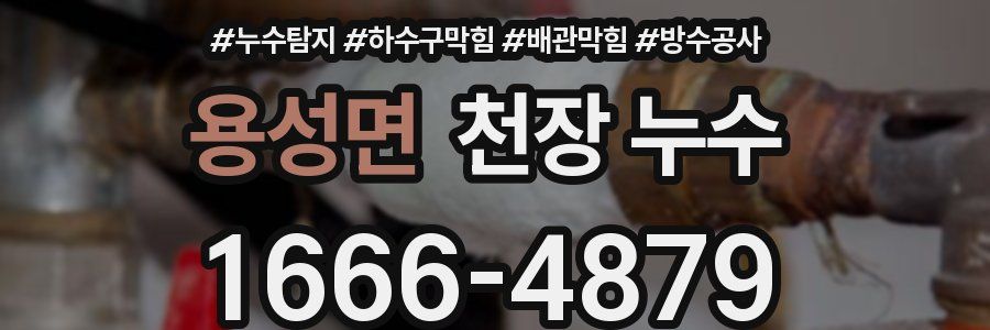 용성면 천장 누수