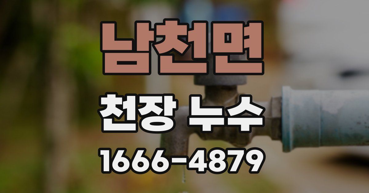 남천면 천장 누수