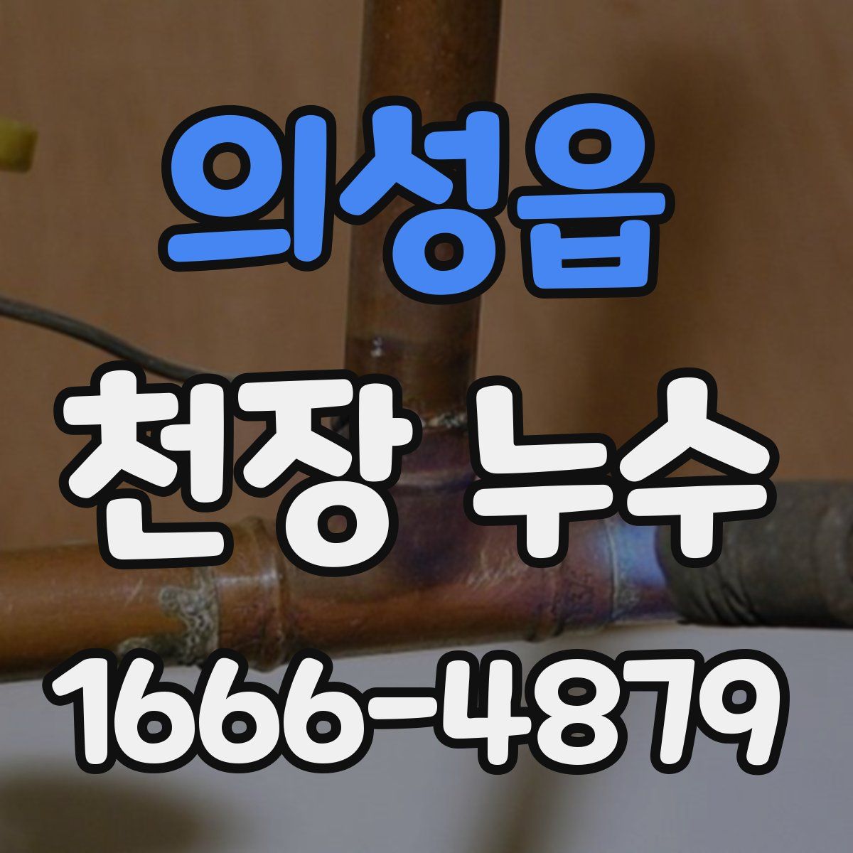 의성읍 천장 누수