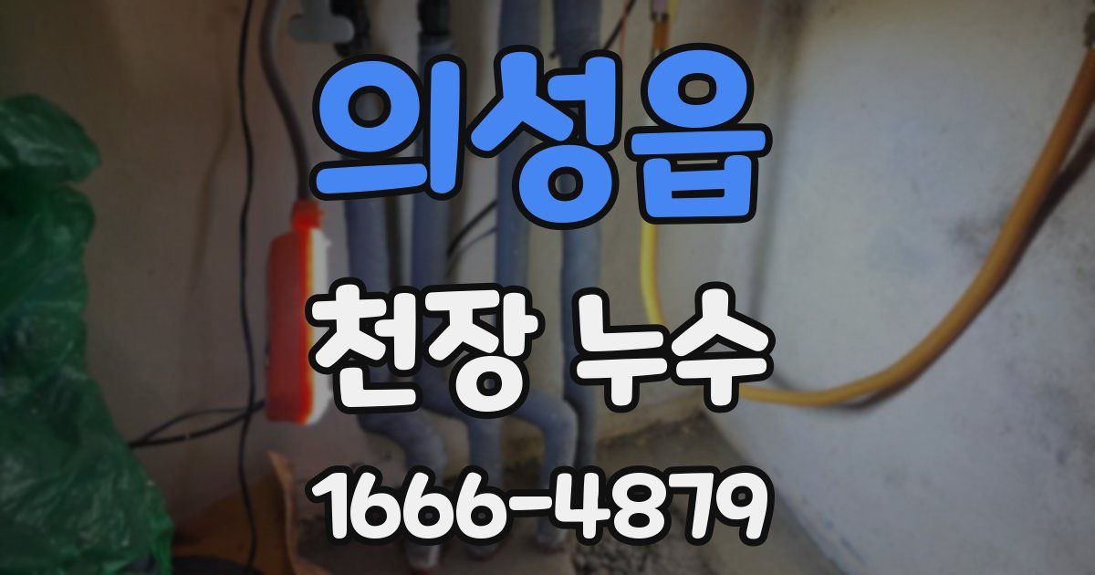 의성읍 천장 누수