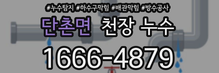 단촌면 천장 누수