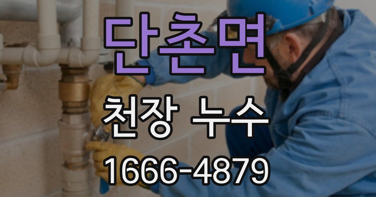 단촌면 천장 누수