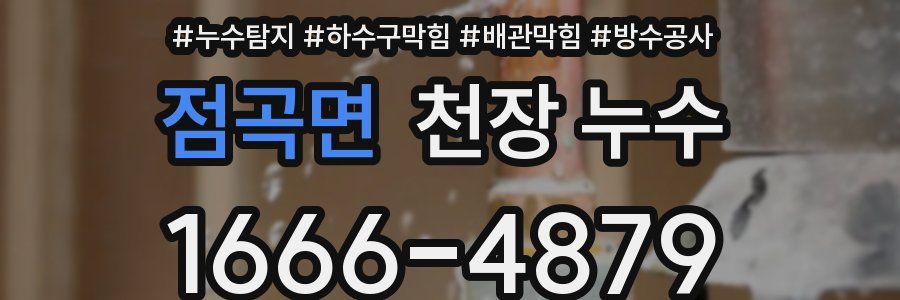 점곡면 천장 누수