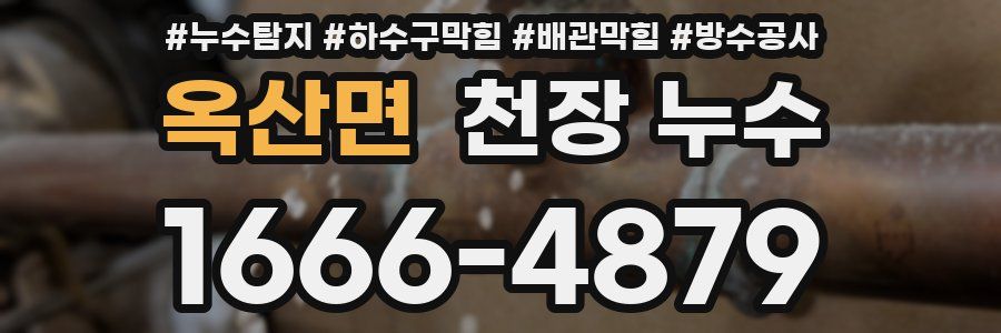 옥산면 천장 누수