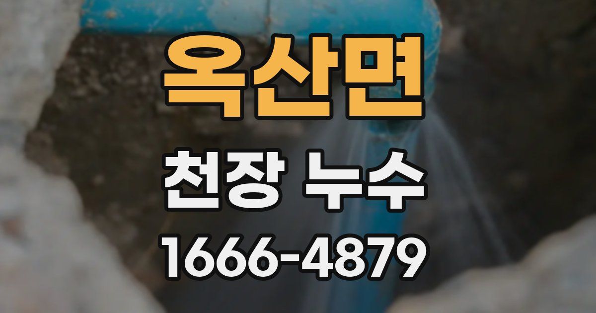 옥산면 천장 누수