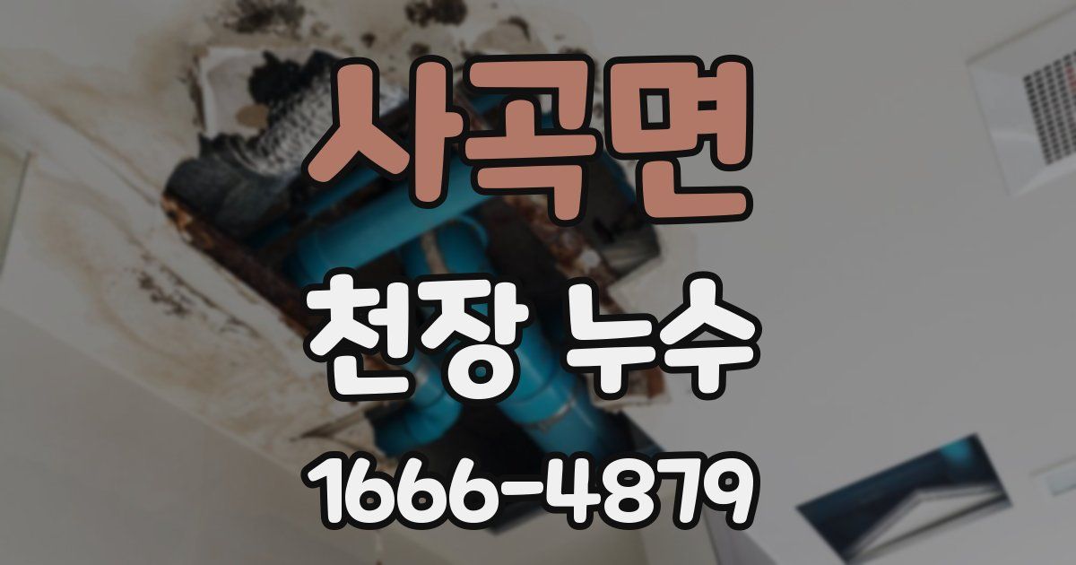 사곡면 천장 누수