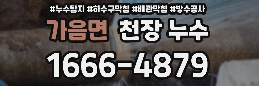 가음면 천장 누수