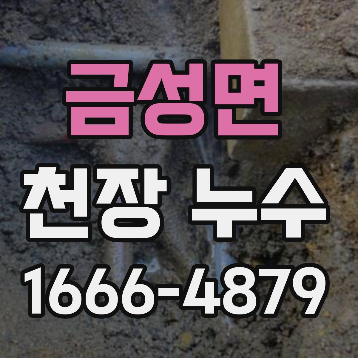 금성면 천장 누수