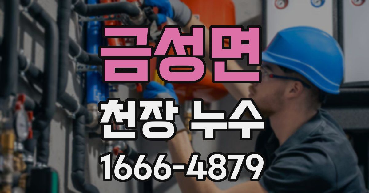 금성면 천장 누수