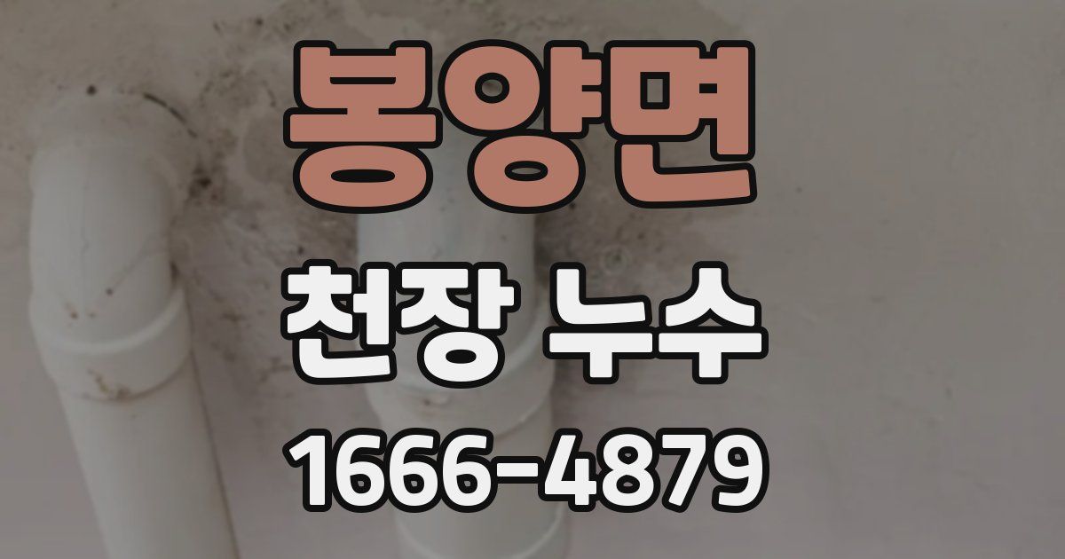 봉양면 천장 누수