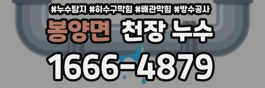 봉양면 천장 누수